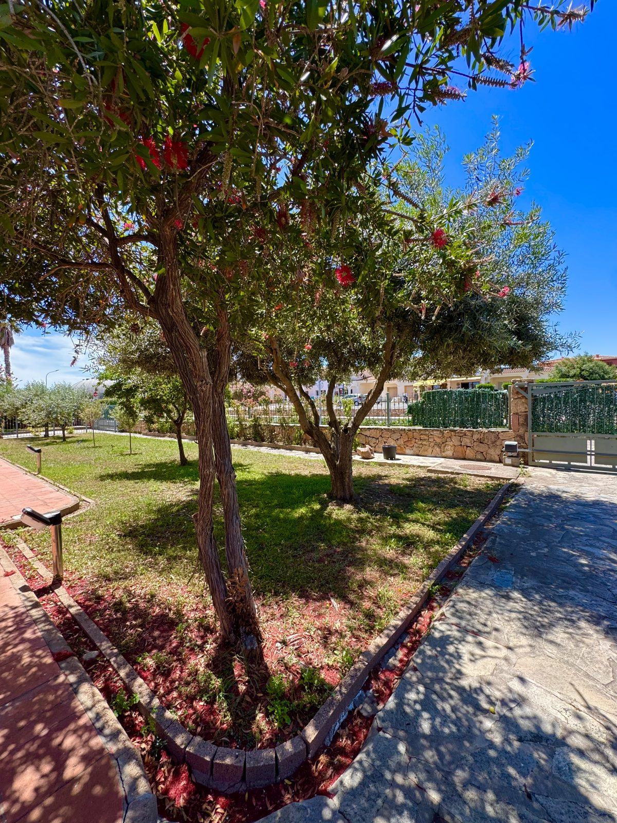 Garden path and lawn at Oasi del Mare — vacation rental in San Teodoro, Sardinia