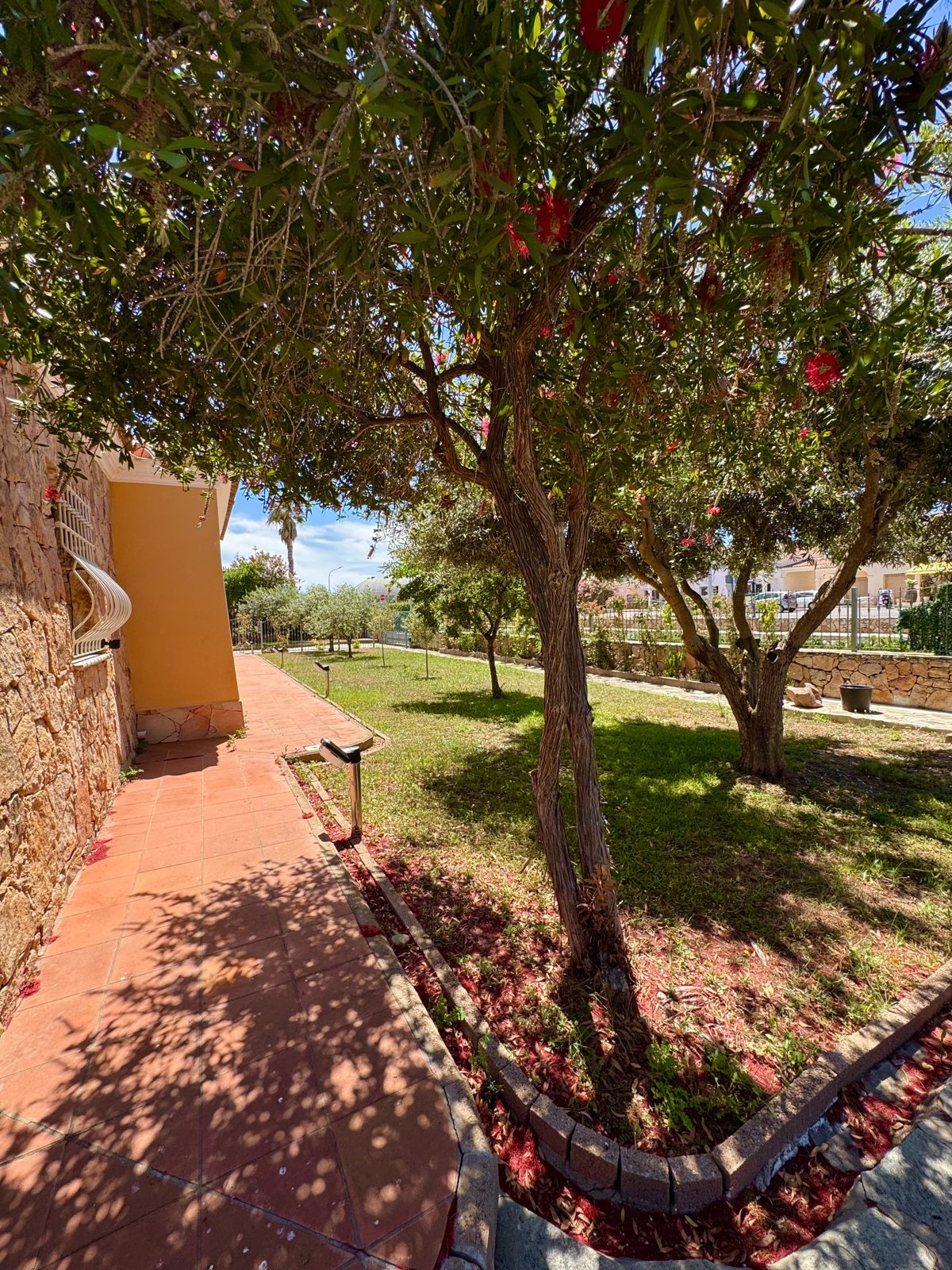 Garden with pomegranate tree at Oasi del Mare — vacation rental in San Teodoro, Sardinia